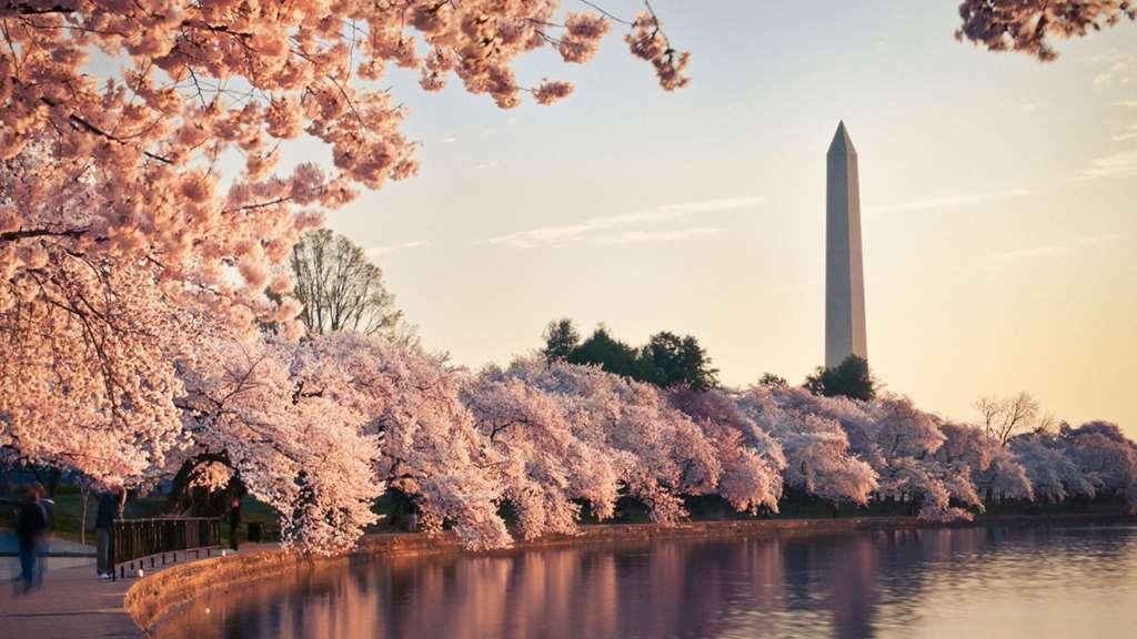 Hyatt Place Washington Dc/White House Hotel Voorzieningen foto