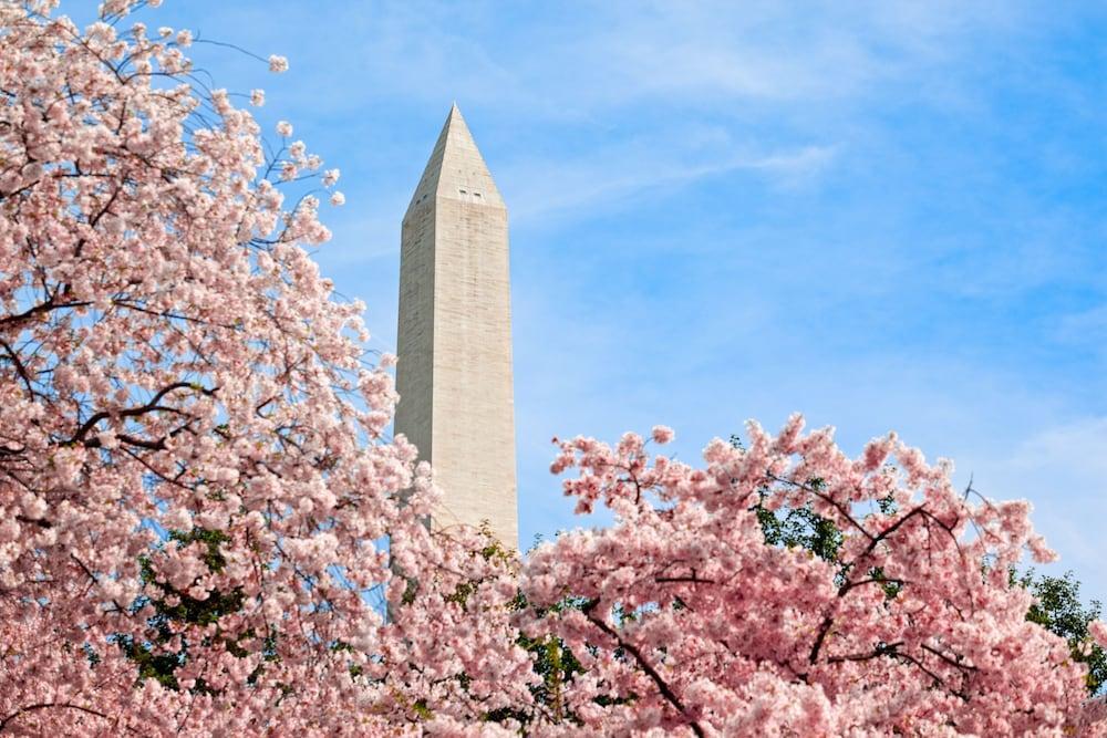 Hyatt Place Washington Dc/White House Hotel Buitenkant foto